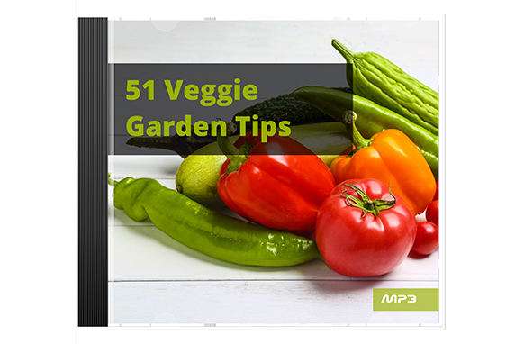51 Veggie Garden Tips Audio Book Plus Ebook