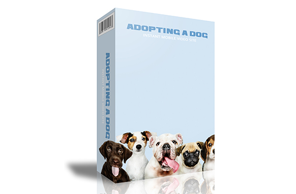 Adopting A Dog Instant Mobile Video Site