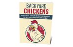 Backyard Chickens
