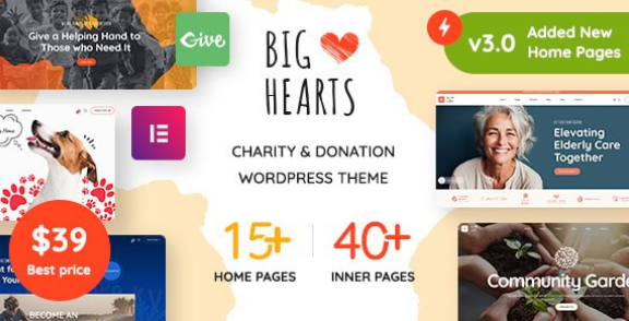 BigHearts - Charity & Donation WordPress Theme