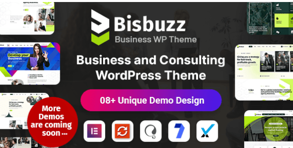 Bisbuzz Business Consulting WordPress Theme