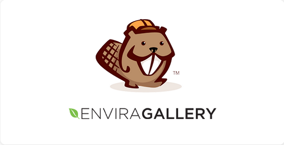 Envira Gallery Beaver Builder Addon