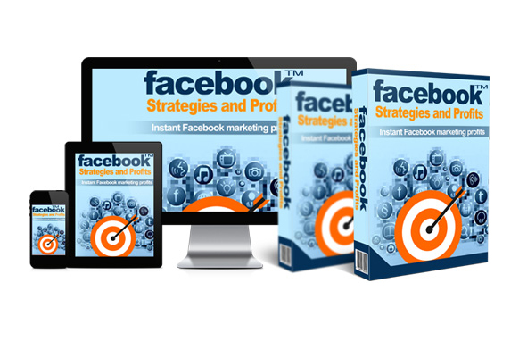 Facebook Strategies and Profits