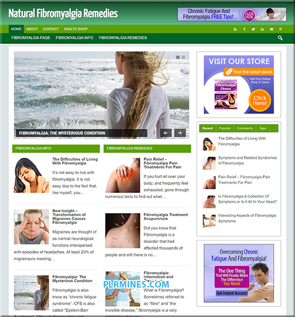 Fibromyalgia Remedy PLR Niche Blog