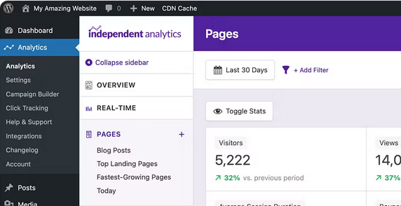 Independent Analytics Pro