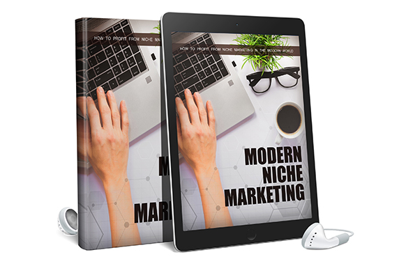 Modern Niche Marketing AudioBook and Ebook