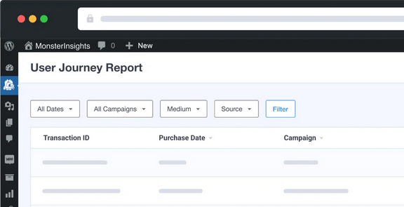 MonsterInsights User Journey