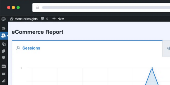 MonsterInsights – eCommerce Addon