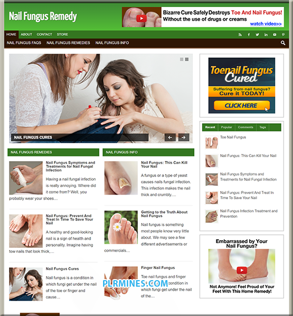 Nail Fungus PLR WordPress Blog