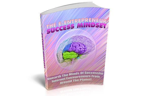 Netrepreneur Success Mindset