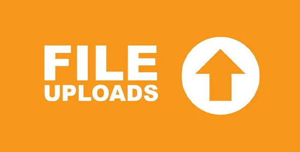 Ninja Forms File Uploads