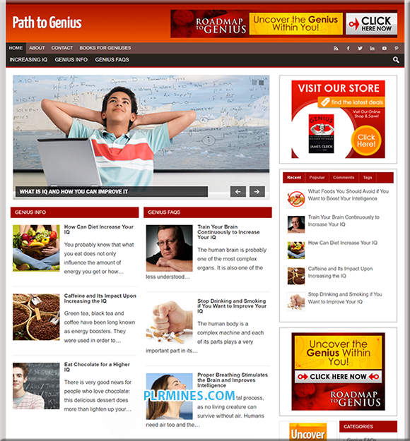 Path to Genius Niche PLR Blog