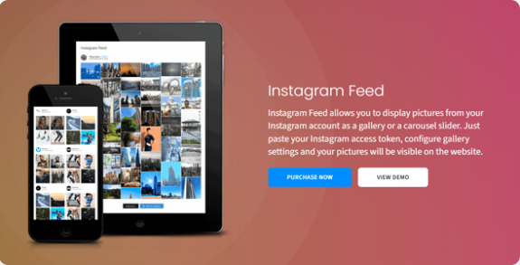 Quadlayers Instagram Feed PRO
