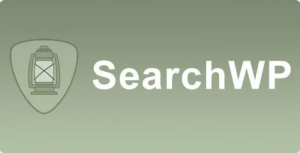 SearchWP Redirects Plugin