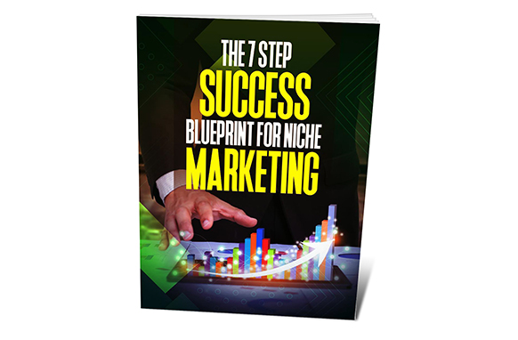 The 7 Step Success Blueprint For Niche Marketing