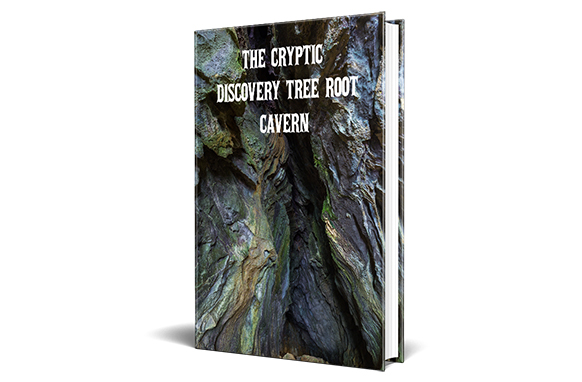 The Cryptic Discovery Tree Root Cavern