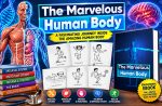 The Marvelous Human Body