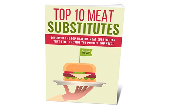 Top 10 Meat Substitutes