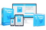 Twitter Traffic