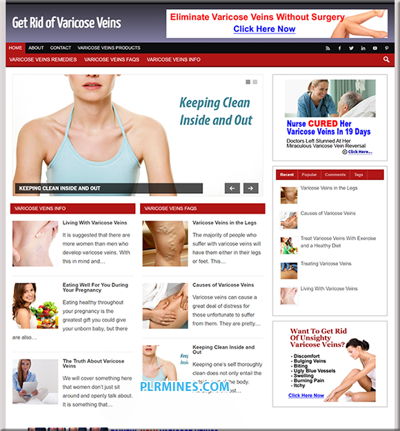 Varicose Veins PLR WordPress Blog