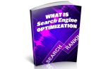 What Is Search Engine Optimization