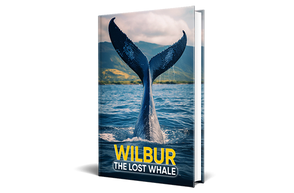 Wilbur The Lost Whale