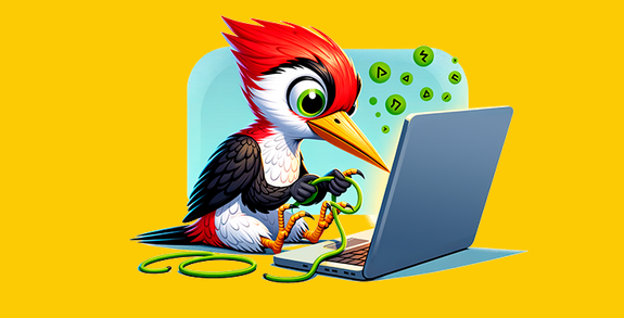 Woody Code Snippets Premium